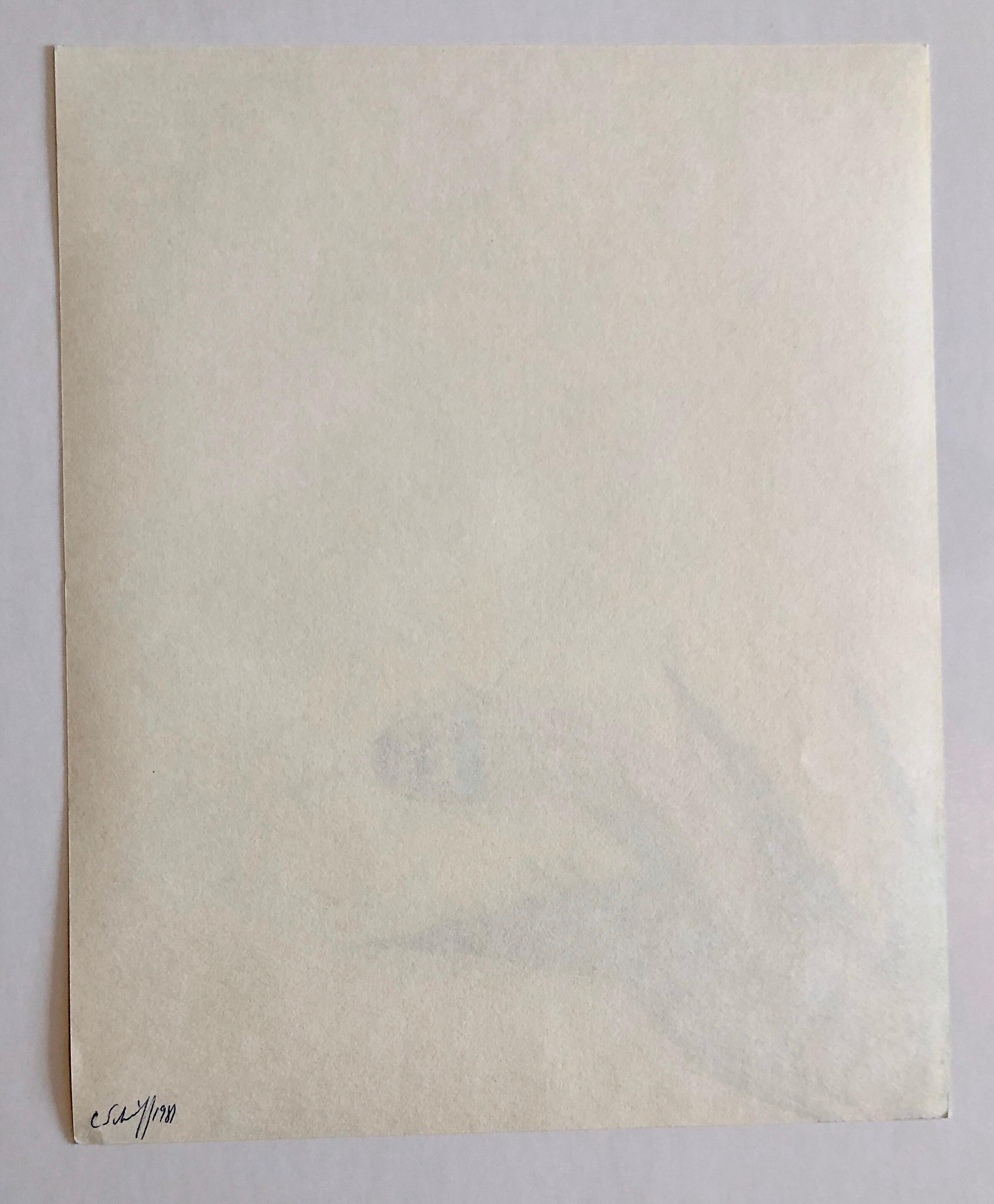 Photographie couleur Copier Print Museum Collected Art Xerography Seasons 1981 en vente 1