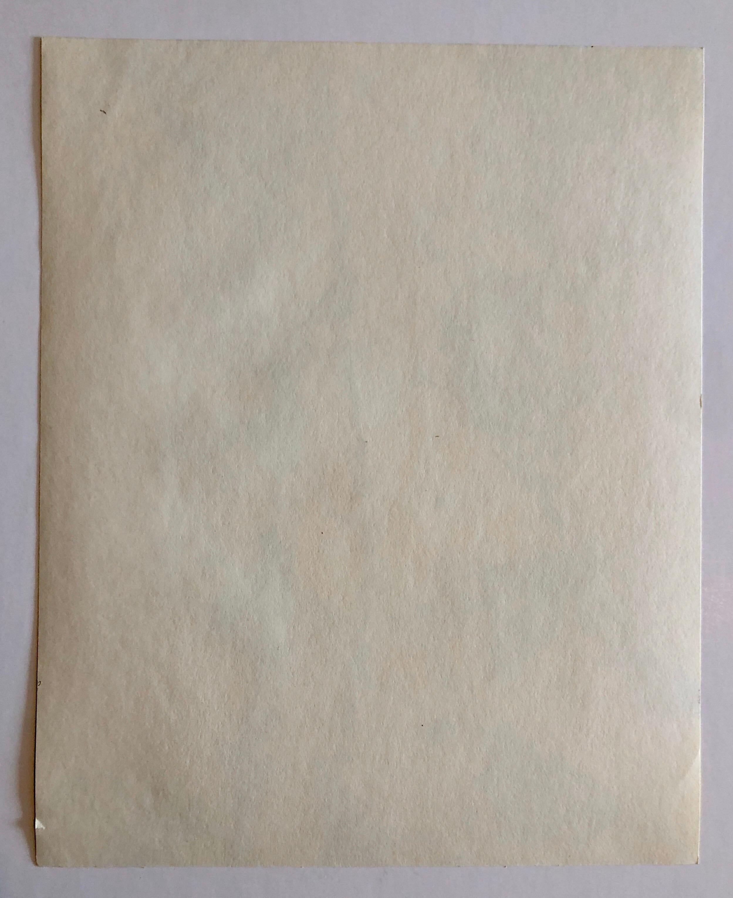 Photographie couleur Copier Print Museum Collected Art Xerography Seasons 1981 en vente 1