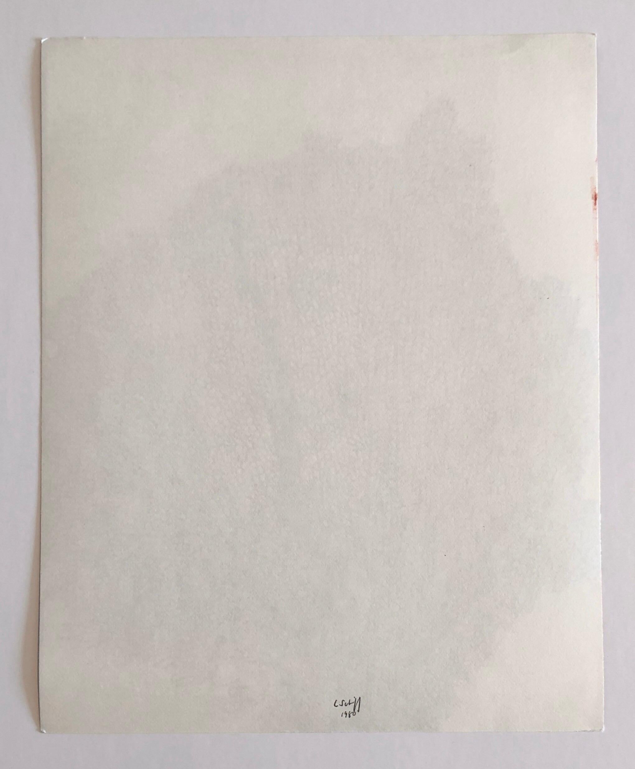 Photographie couleur Copier Print Museum Collected Art Xerography Seasons 1981 en vente 1