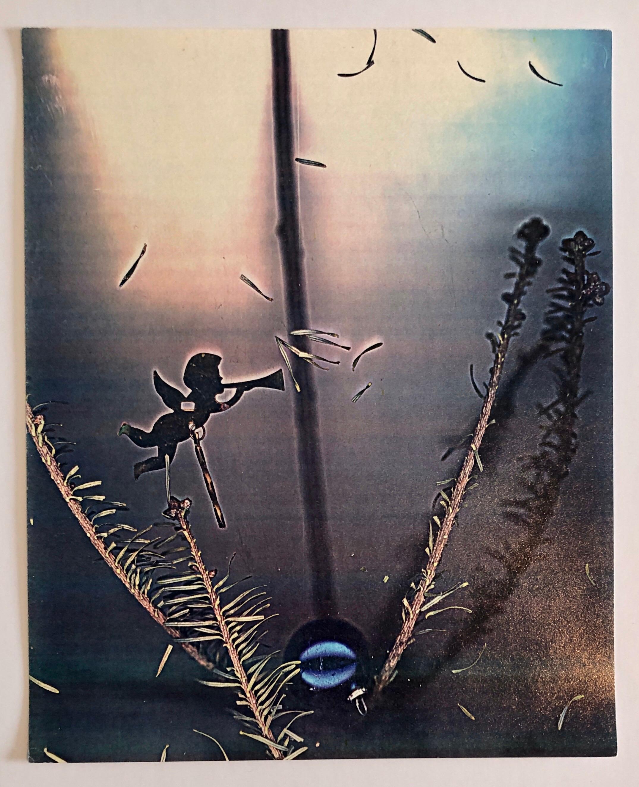 Photographie couleur Copier Print Museum Collected Art Xerography Seasons 1981 en vente 1