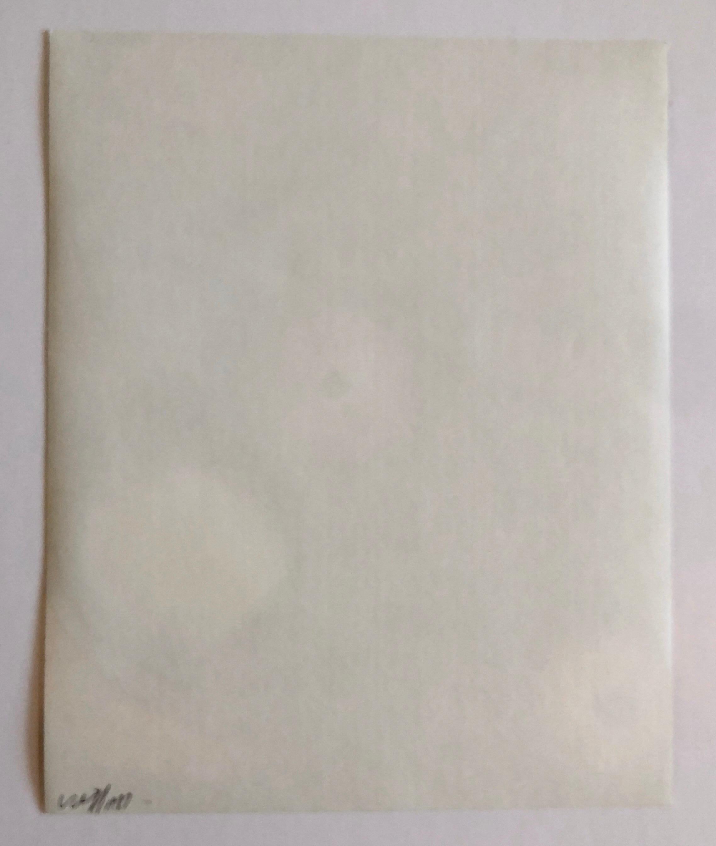 Photographie couleur Copier Print Museum Collected Art Xerography Seasons 1981 en vente 2