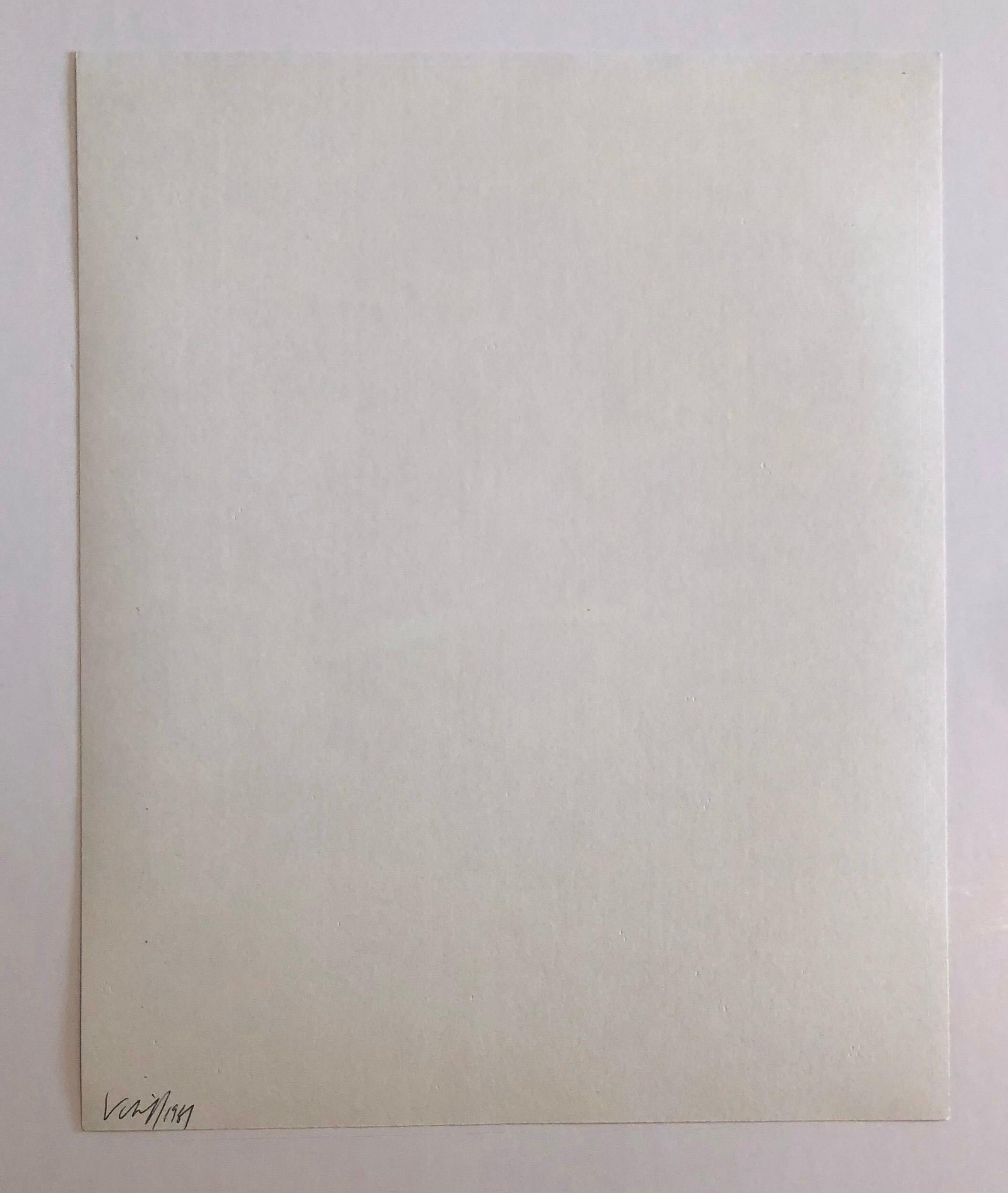 Photographie couleur Copier Print Museum Collected Art Xerography Seasons 1981 en vente 2
