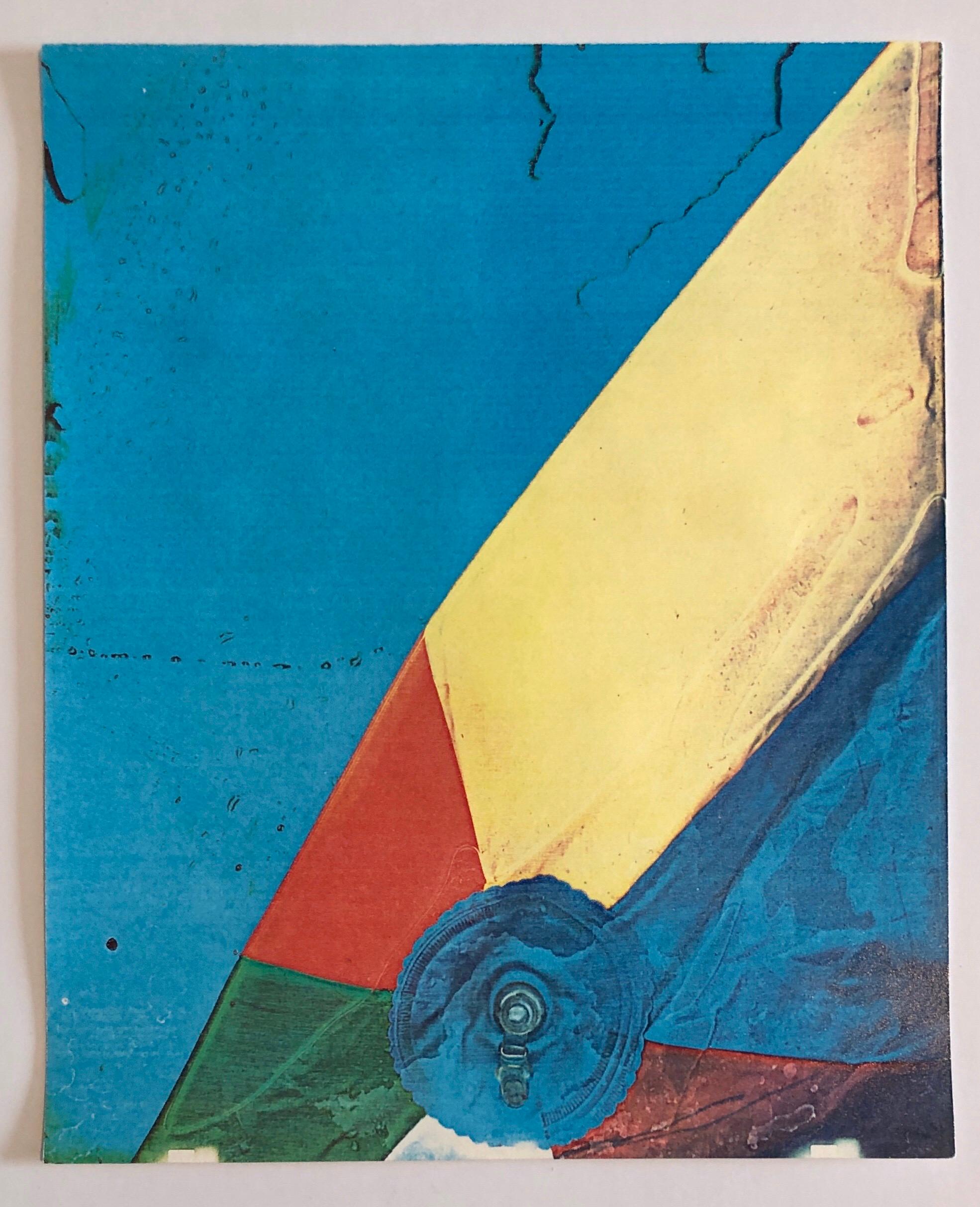 Photographie couleur Copier Print Museum Collected Art Xerography Seasons 1981 en vente 2