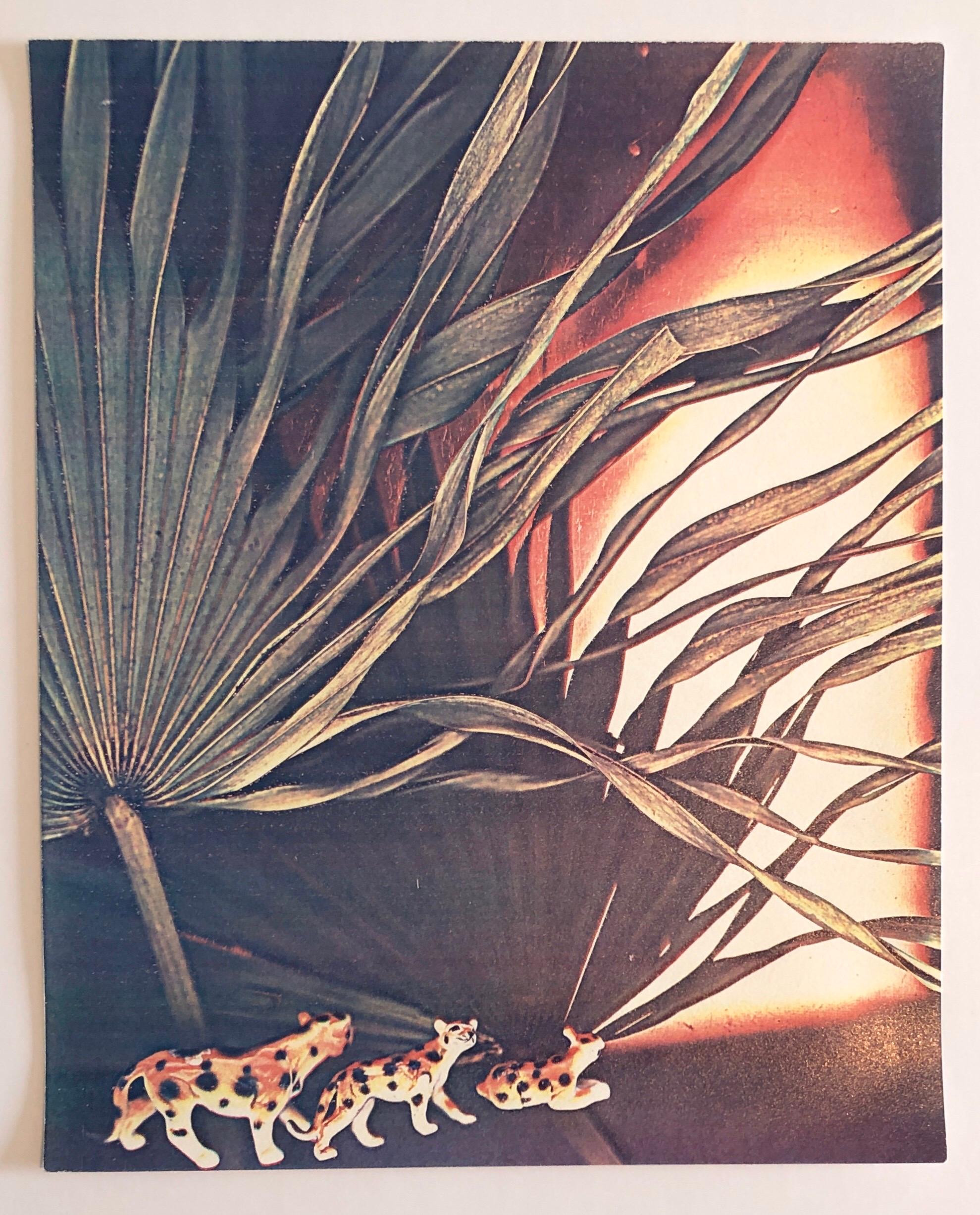 Photographie couleur Copier Print Museum Collected Art Xerography Seasons 1981 en vente 2