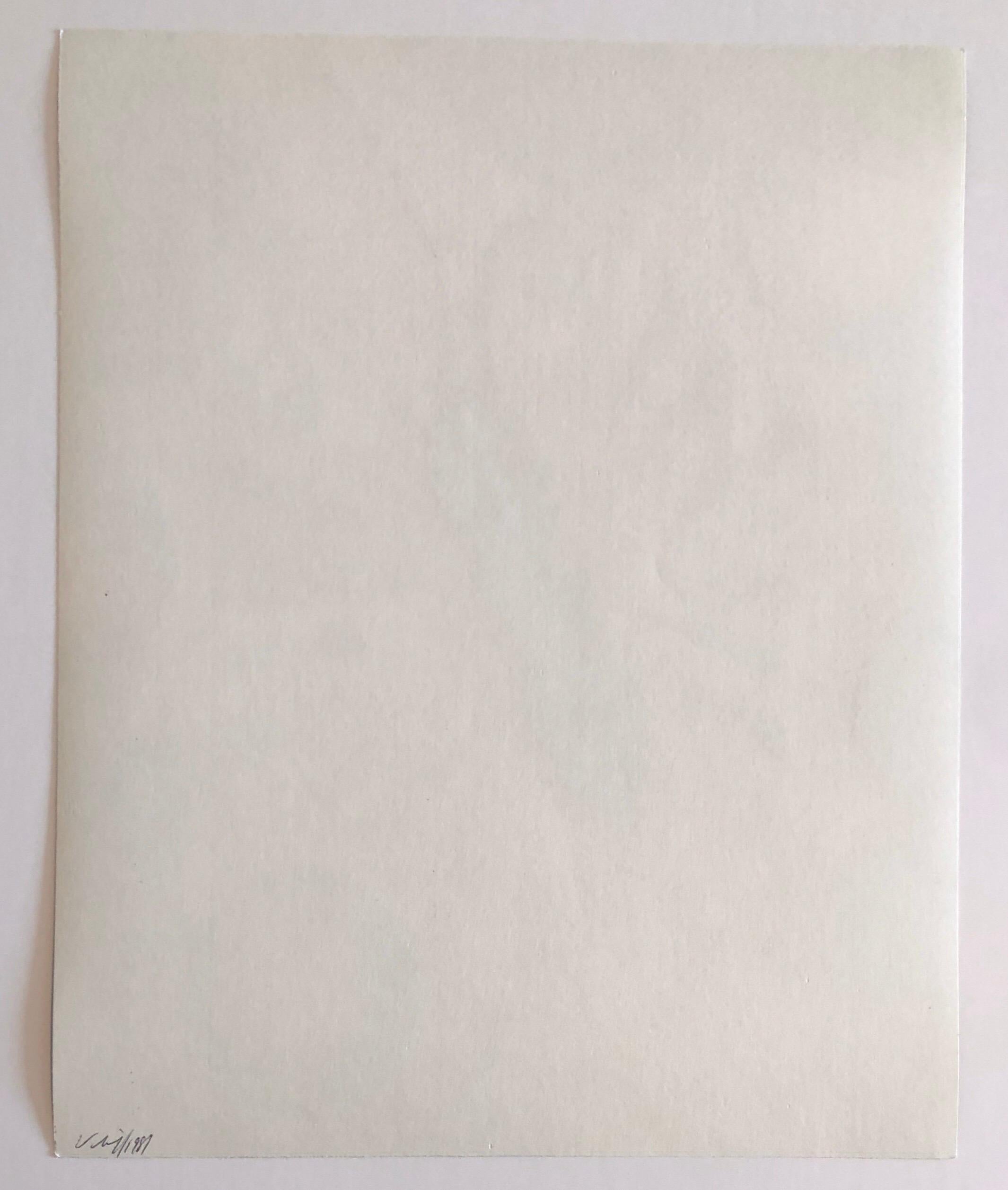Photographie couleur Copier Print Museum Collected Art Xerography Seasons 1981 en vente 2