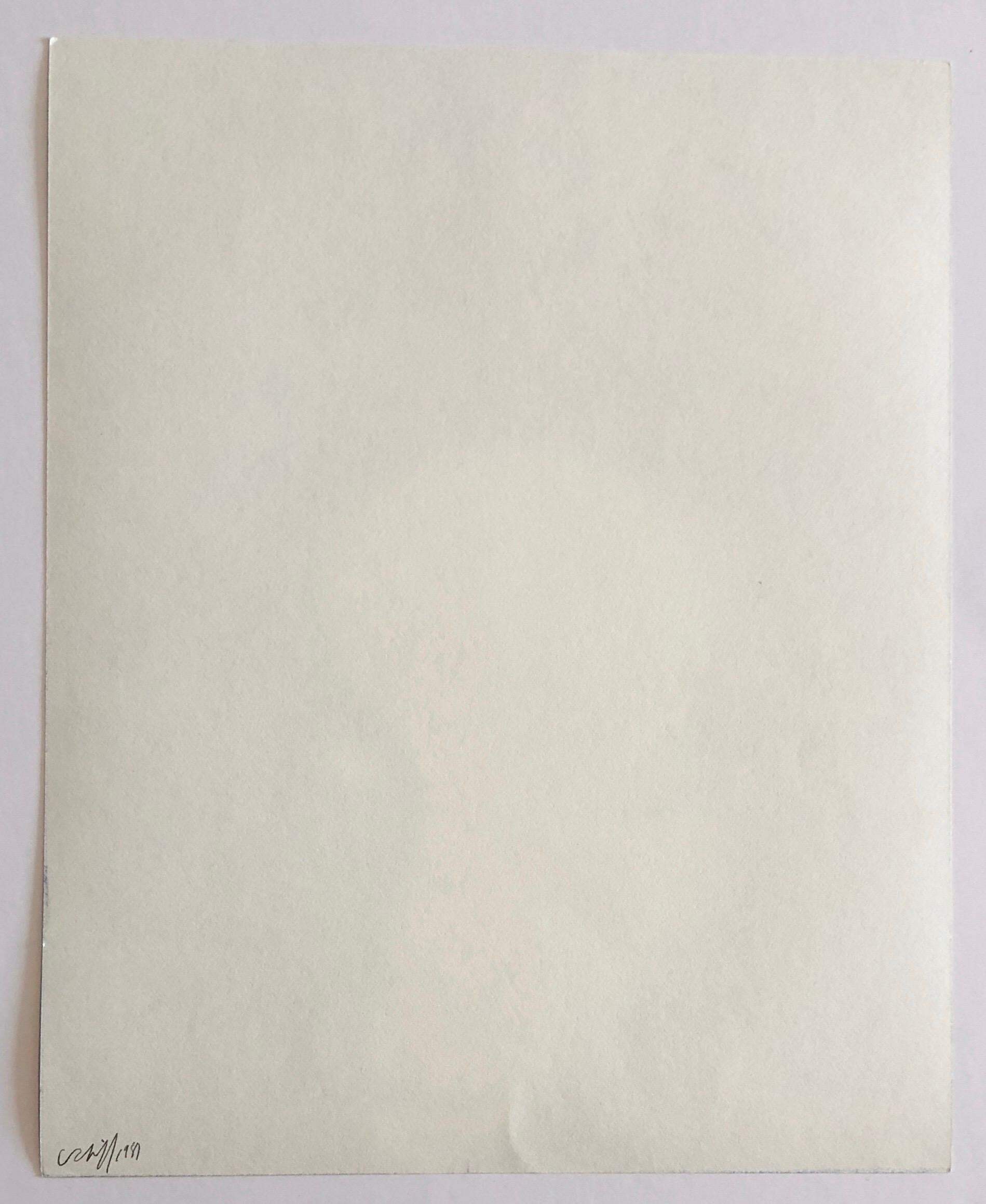 Photographie couleur Copier Print Museum Collected Art Xerography Seasons 1981 en vente 2