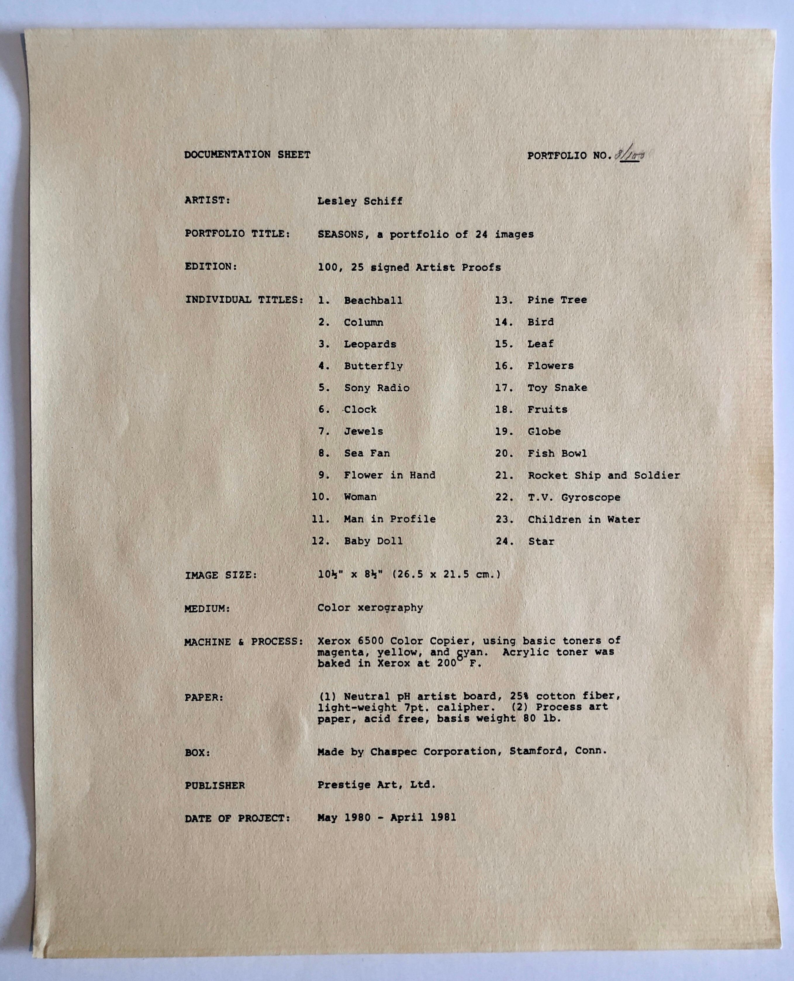 Photographie couleur Copier Print Museum Collected Art Xerography Seasons 1981 en vente 4