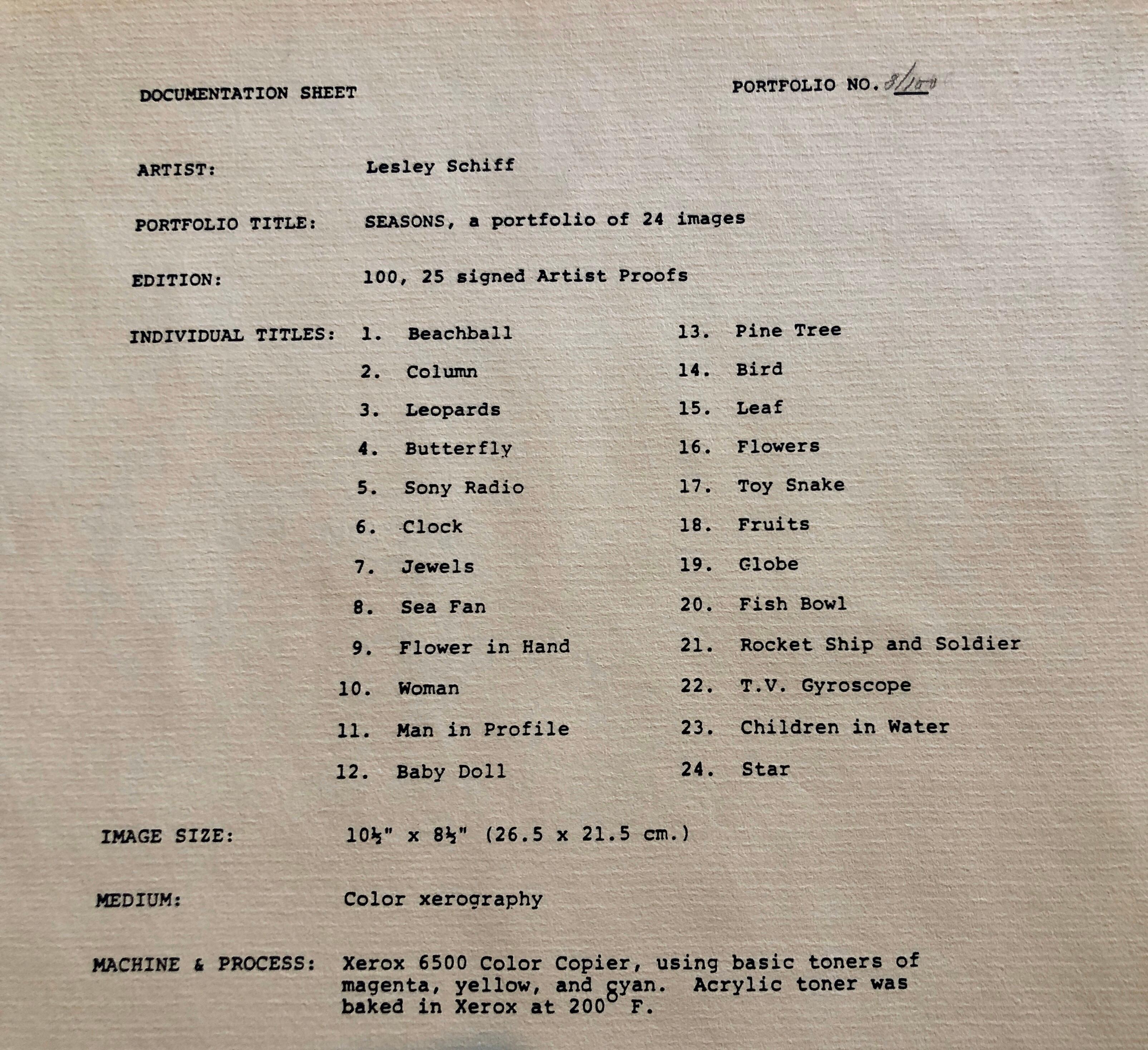 Photographie couleur Copier Print Museum Collected Art Xerography Seasons 1981 en vente 6