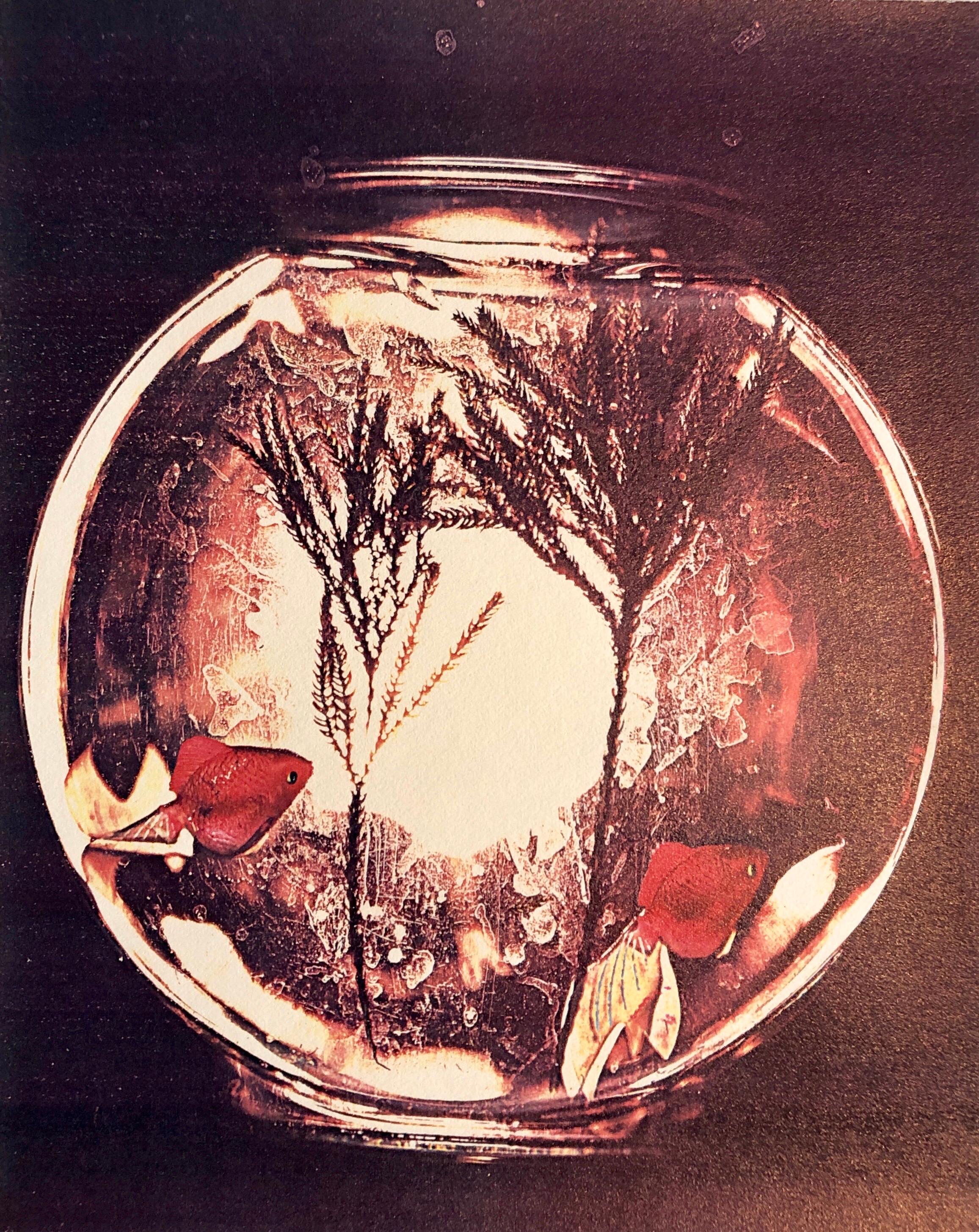 Still-Life Print de Leslie Schiff - Estaciones 1981 Foto Color Copiadora Impresión Fotografía Museo Arte Coleccionismo Xerografía