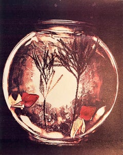 Photographie couleur Copier Print Museum Collected Art Xerography Seasons 1981
