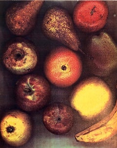 Seasons 1981 Photo Color Copier Print Photograph Museum Collected Art Xerography