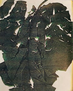 Photographie couleur Copier Print Museum Collected Art Xerography Seasons 1981