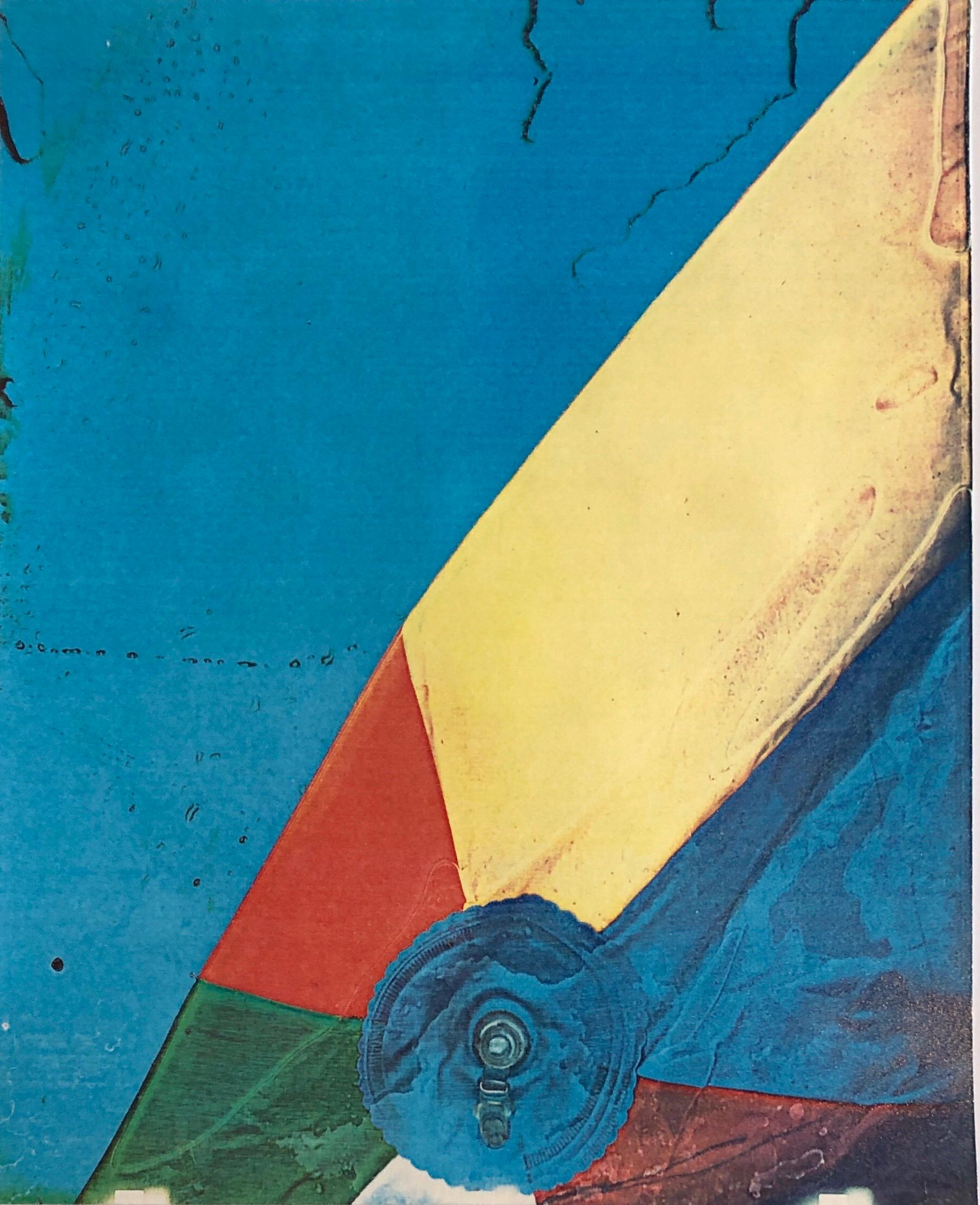 Still-Life Print Leslie Schiff - Photographie couleur Copier Print Museum Collected Art Xerography Seasons 1981