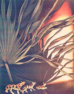 Photographie couleur Copier Print Museum Collected Art Xerography Seasons 1981