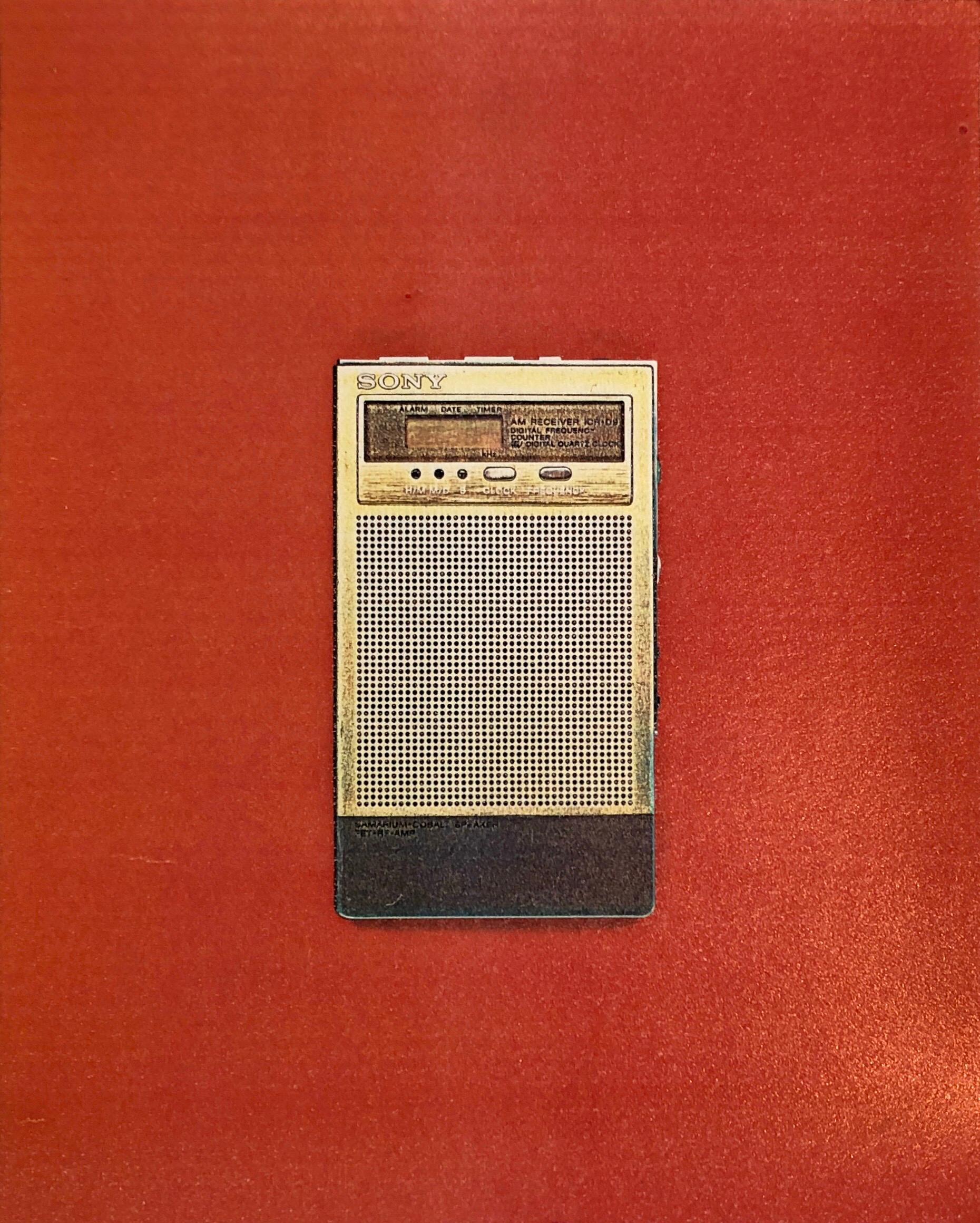 Color Photograph Leslie Schiff - Photographie couleur Copier Print Museum Collected Art Xerography Seasons 1981