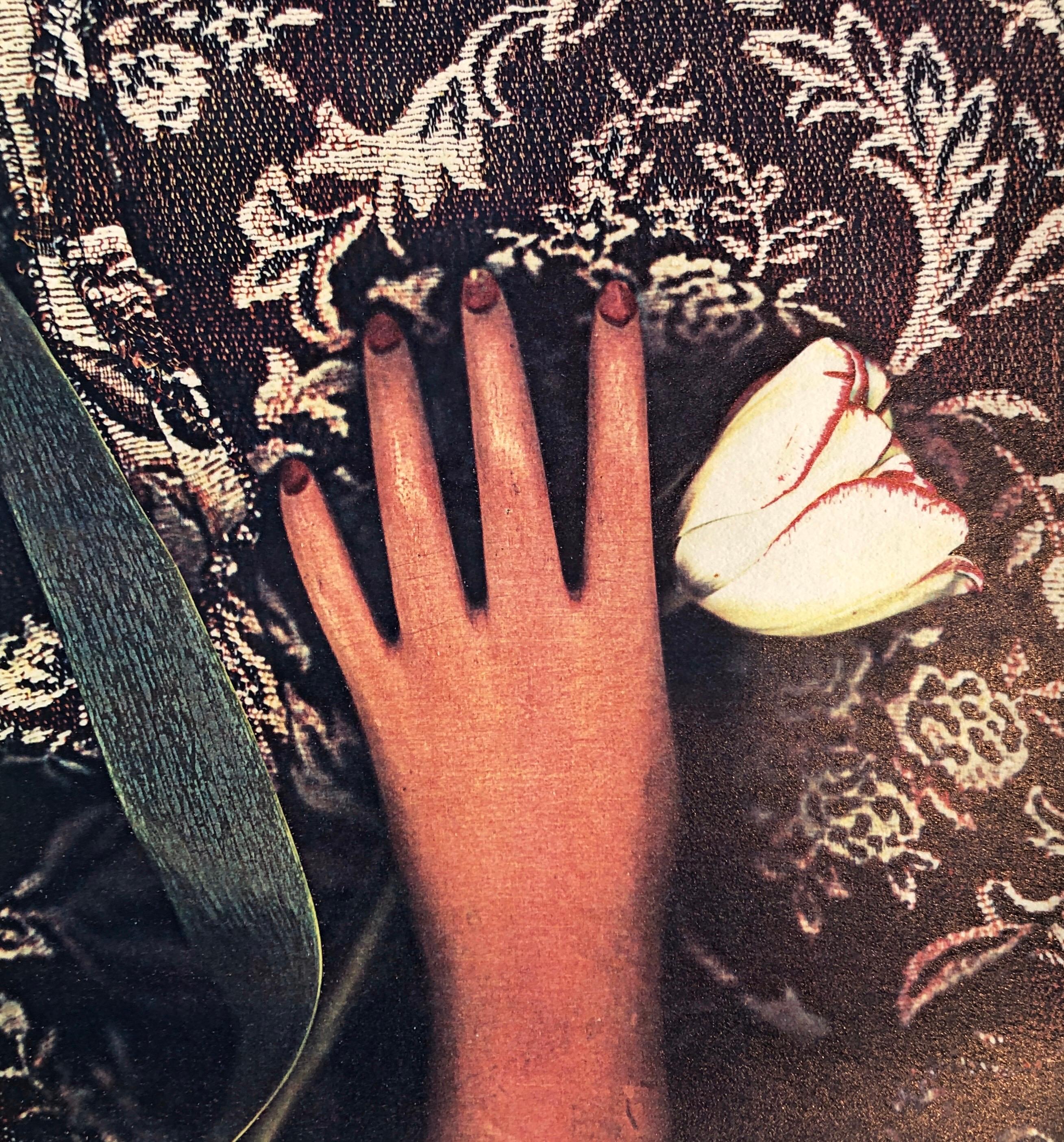 Color Photograph de Leslie Schiff - Estaciones 1981 Foto Color Copiadora Impresión Fotografía Museo Arte Coleccionismo Xerografía