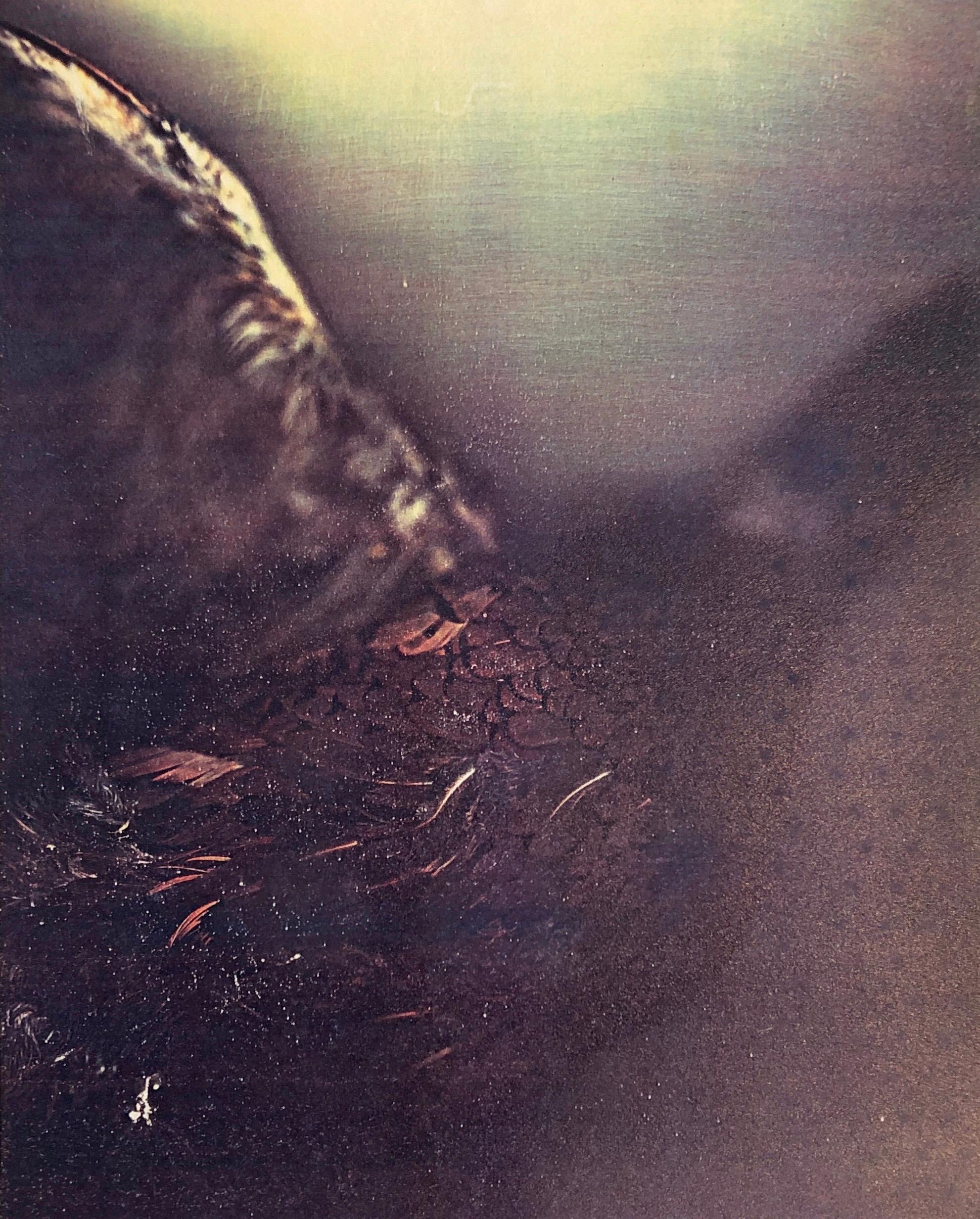 Color Photograph Leslie Schiff - Photographie couleur Copier Print Museum Collected Art Xerography Seasons 1981