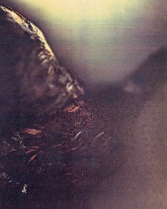 Photographie couleur Copier Print Museum Collected Art Xerography Seasons 1981