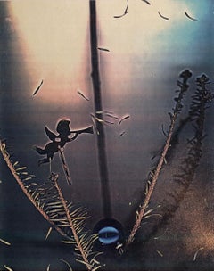 Photographie couleur Copier Print Museum Collected Art Xerography Seasons 1981