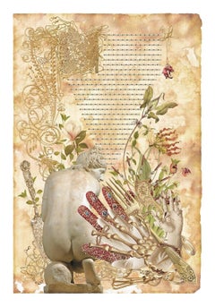 “MANIFESTO:  Here  Is  Your  Princess