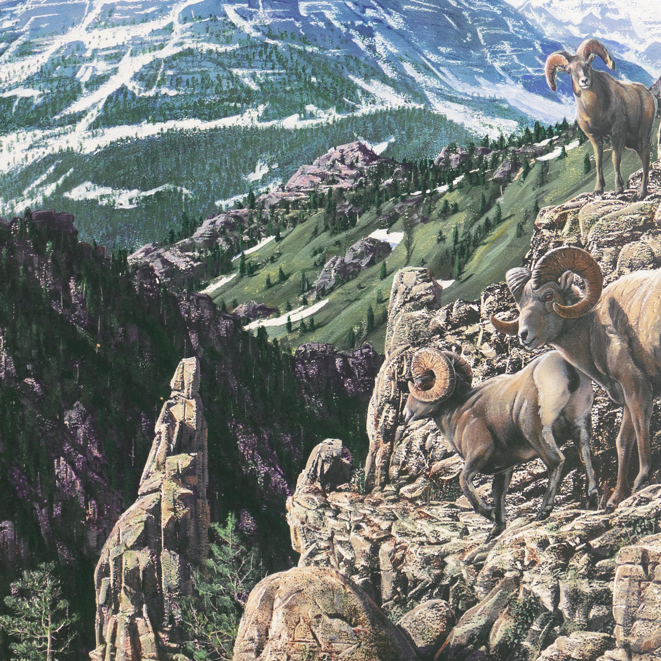 'Bighorn Rams, Rocky Mountains', Idyllwild, California Artist, Nature painter For Sale 2