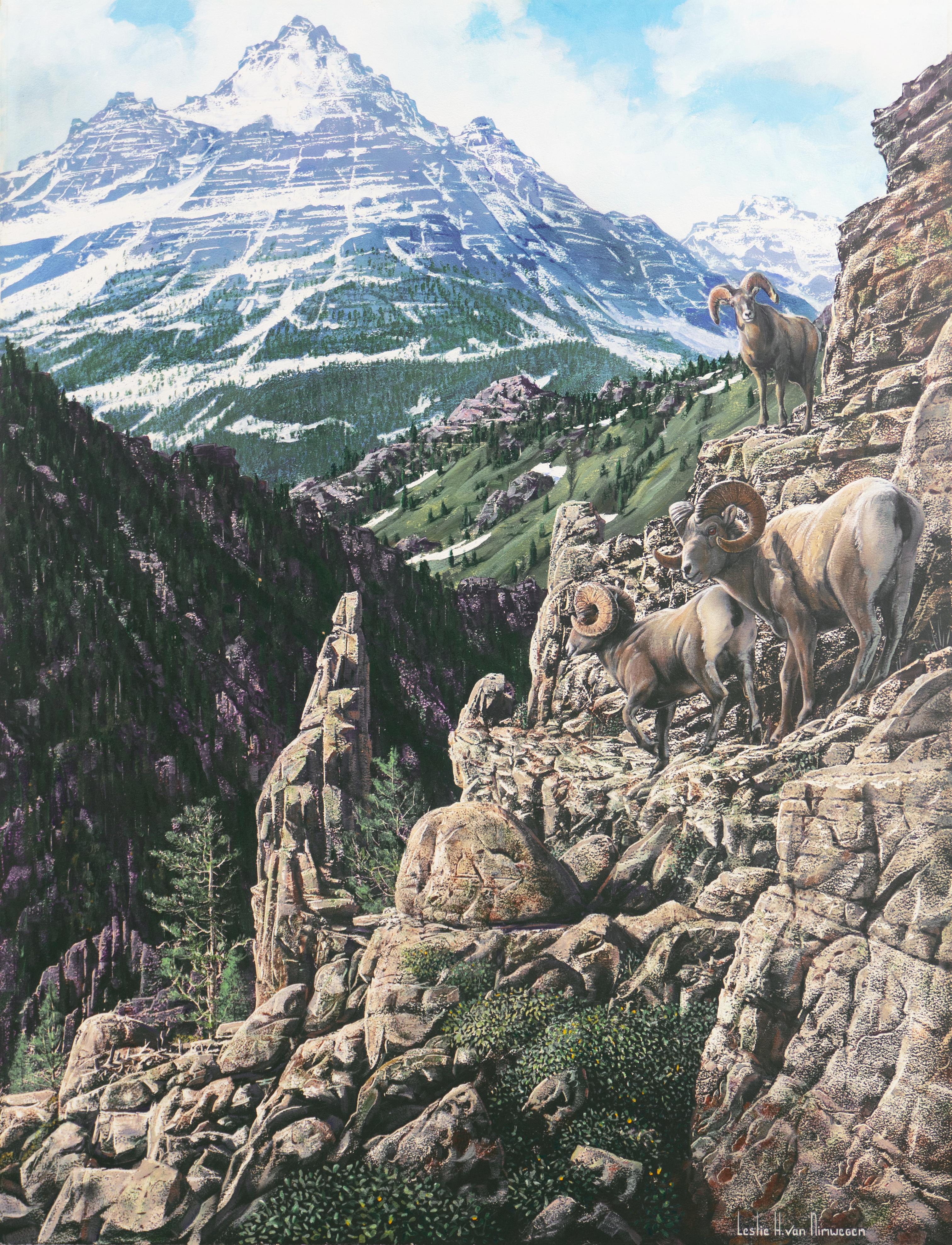 „Bighorn Rams, Rocky Mountains“, Idyllwild, kalifornischer Künstler, Naturmaler – Painting von Leslie Van Nimwegen