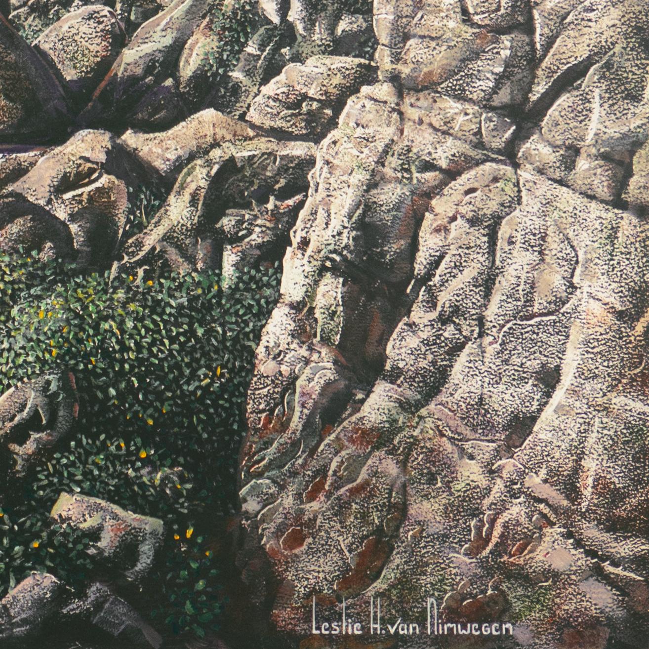 'Bighorn Rams, Rocky Mountains', Idyllwild, California Artist, Nature painter - Realist Painting by Leslie Van Nimwegen