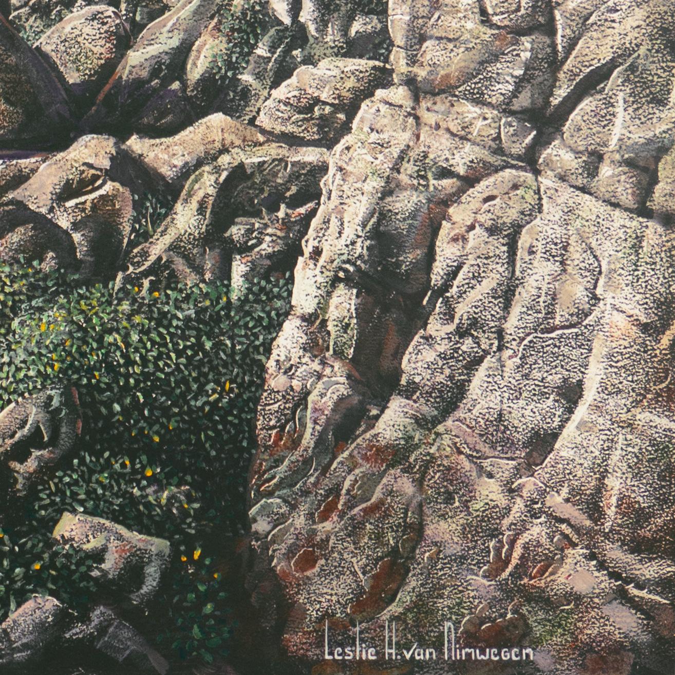 „Bighorn Rams, Rocky Mountains“, Idyllwild, kalifornischer Künstler, Naturmaler (Realismus), Painting, von Leslie Van Nimwegen