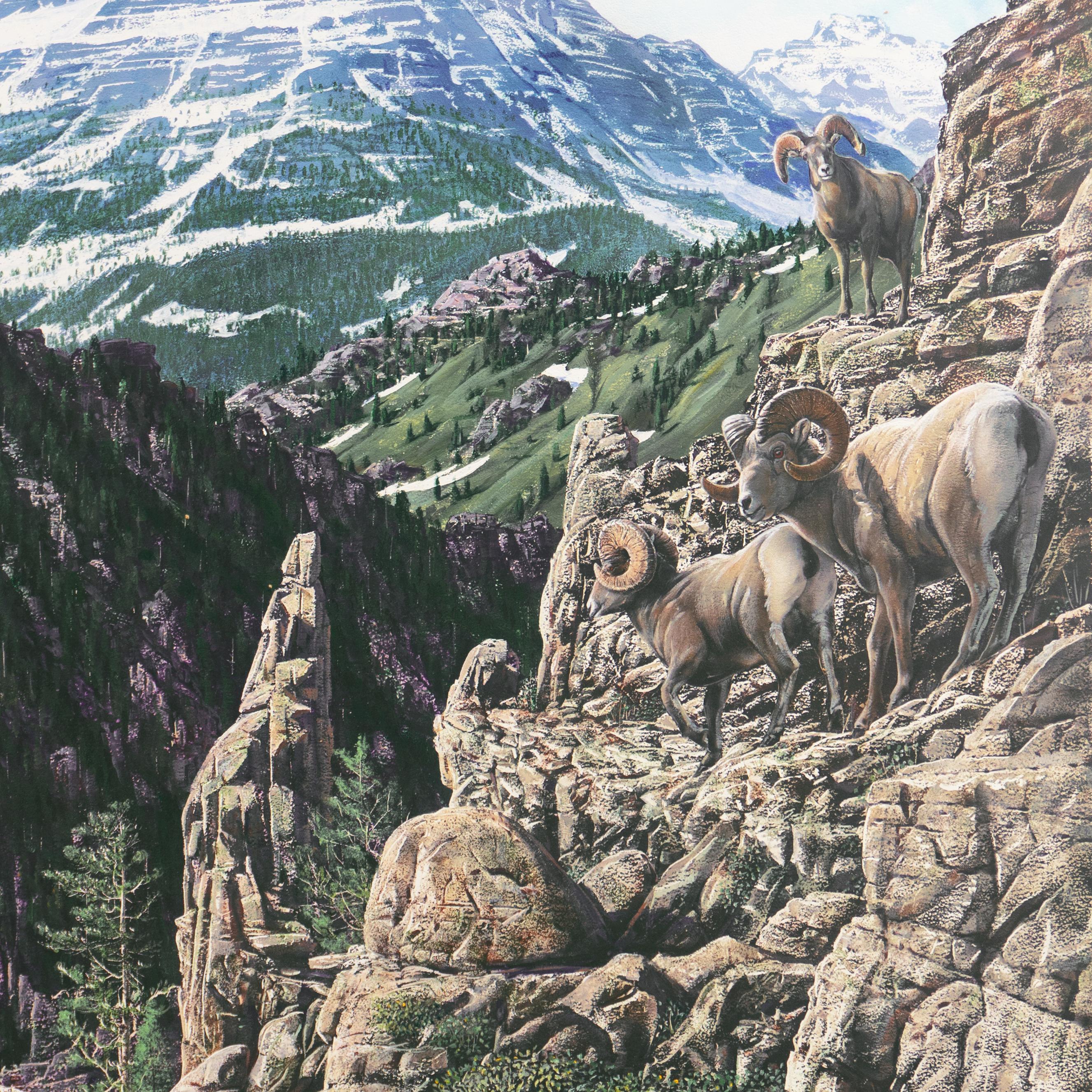 'Bighorn Rams, Rocky Mountains', Idyllwild, California Artist, Nature painter - Realist Painting by Leslie Van Nimwegen