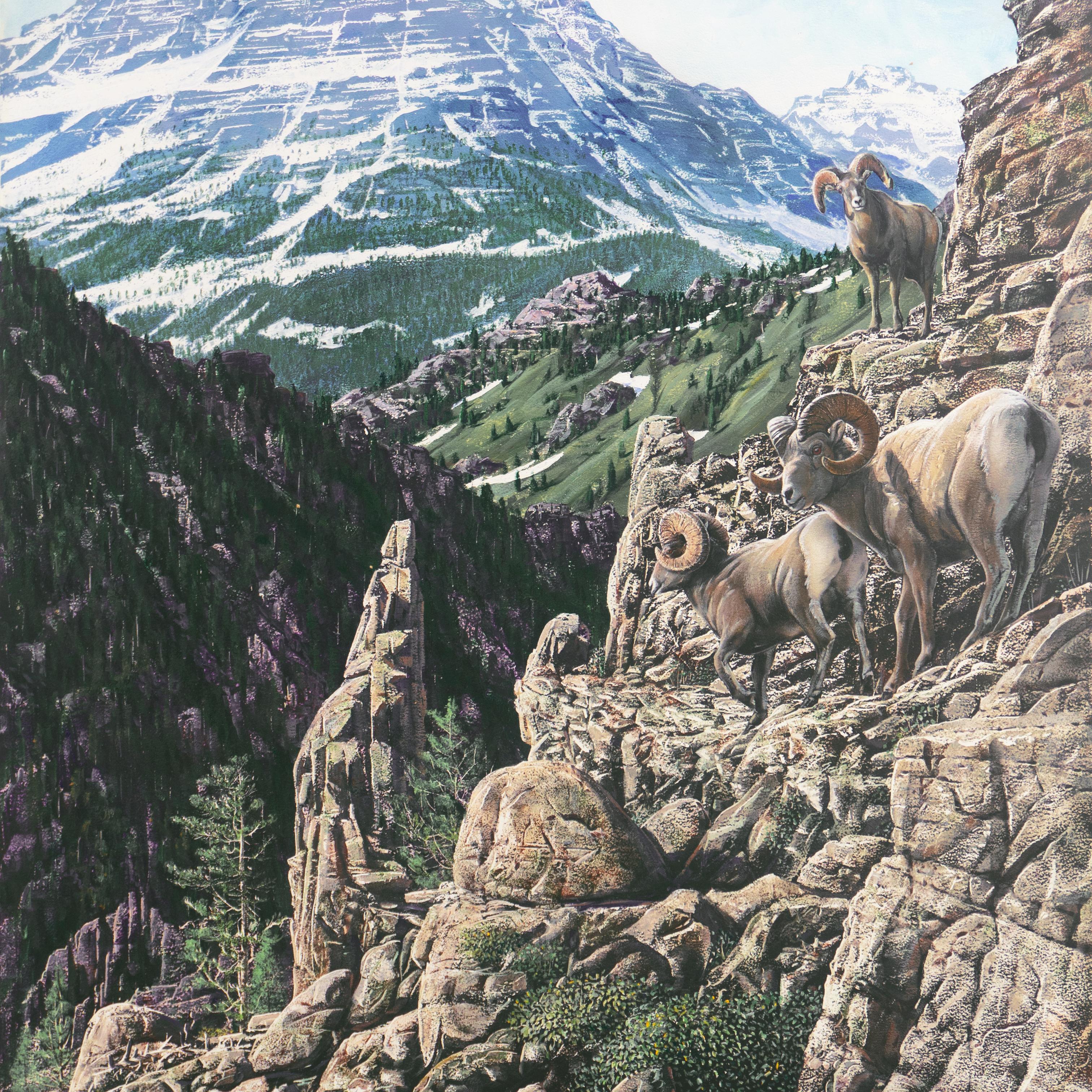 'Bighorn Rams, Rocky Mountains', Idyllwild, California Artist, Nature painter For Sale 1