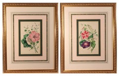 Lessons from the Vegetable World: Robert Mackenzie Stark Botanical Prints 1858