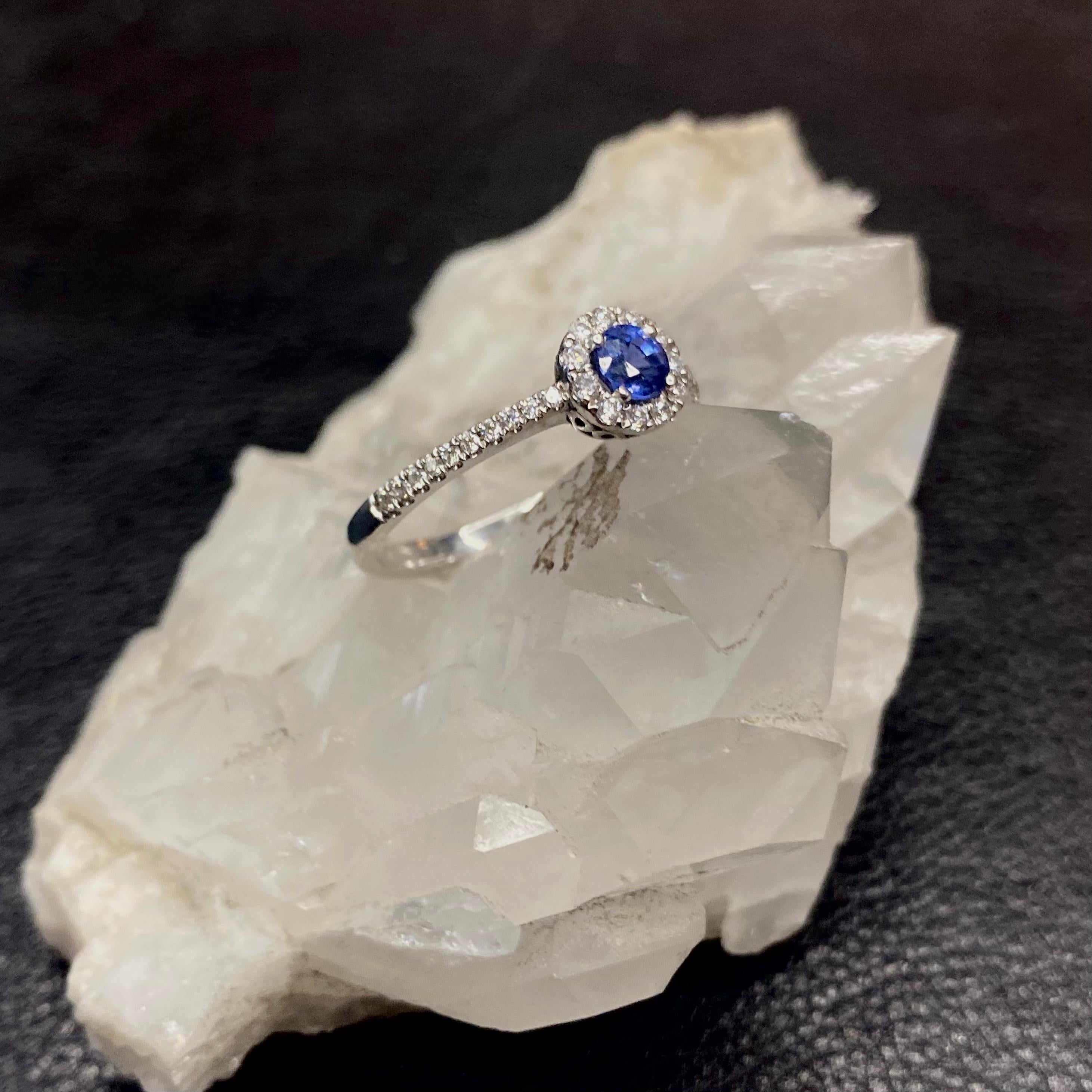 Modern Lesunja Magnifique White Gold Sapphire Diamond Ring For Sale