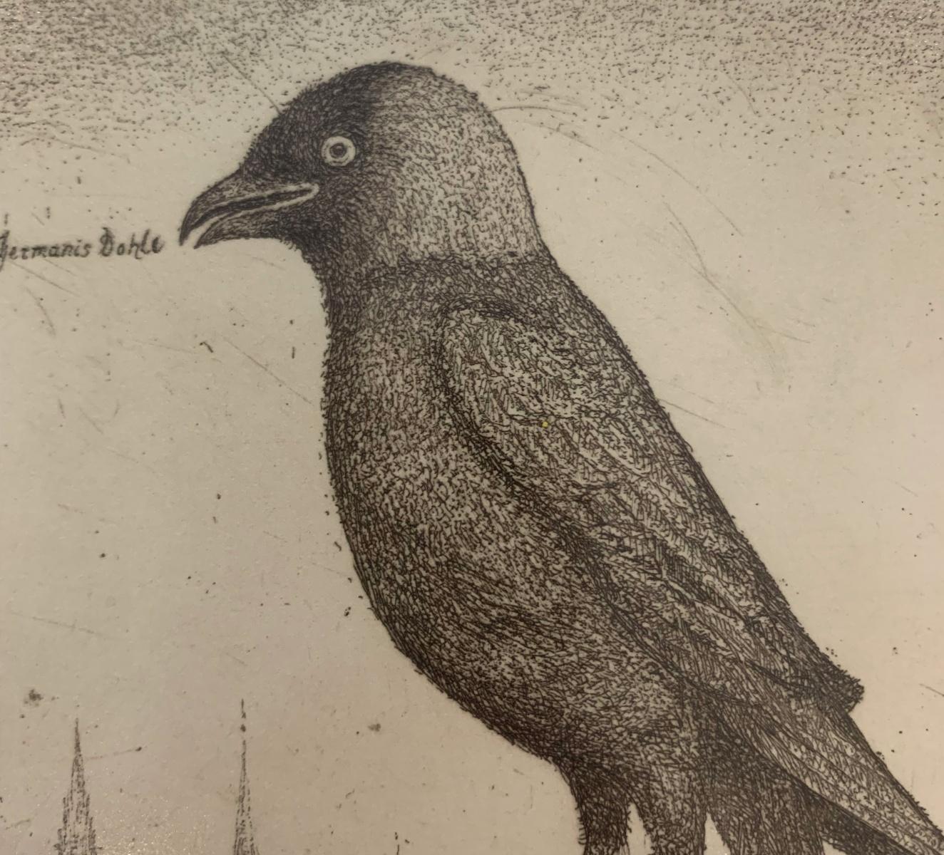 A jackdaw. Figurative etching, Monochromatic, Animal, Bird, Polish artist - Contemporary Print by Leszek Rózga