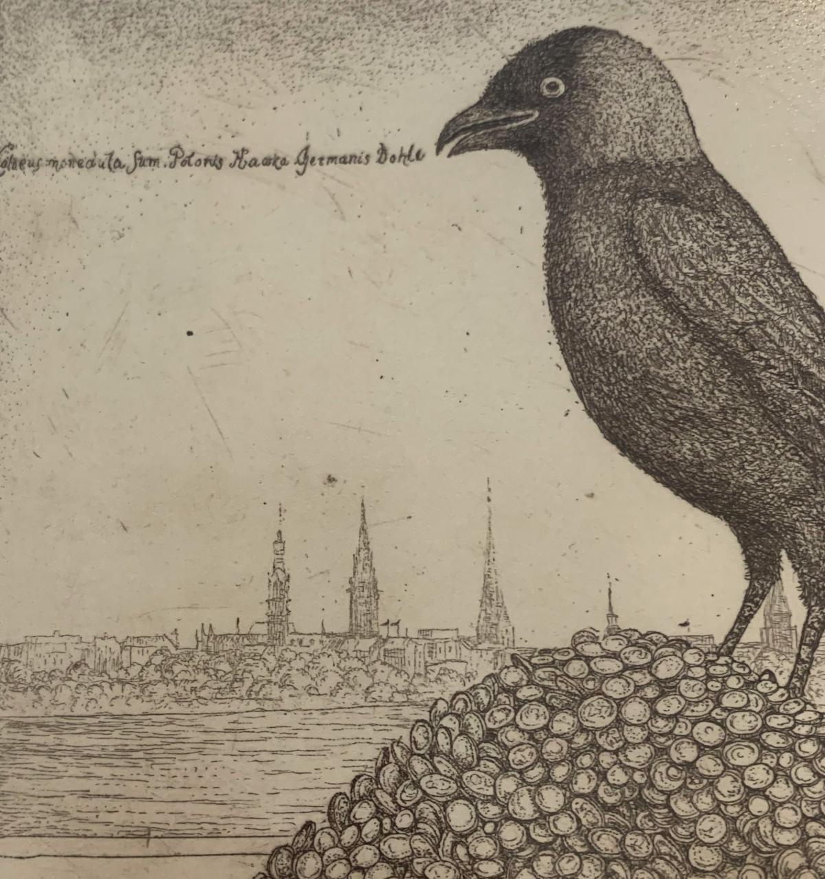 A jackdaw. Figurative etching, Monochromatic, Animal, Bird, Polish artist - Beige Figurative Print by Leszek Rózga