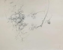 Two twigs - XX Century, Realistic pencil drawing, Apples