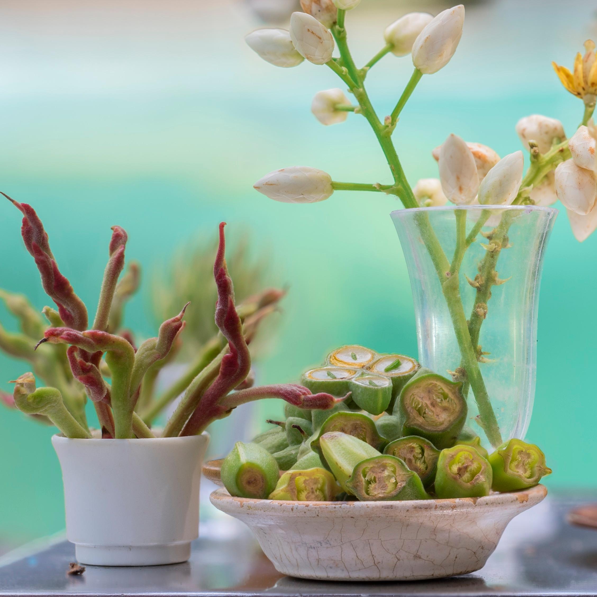 Still-Life Photograph Leticia Felgueroso - Photographie de nature morte « Anitas » contemporaine, réalisme magique