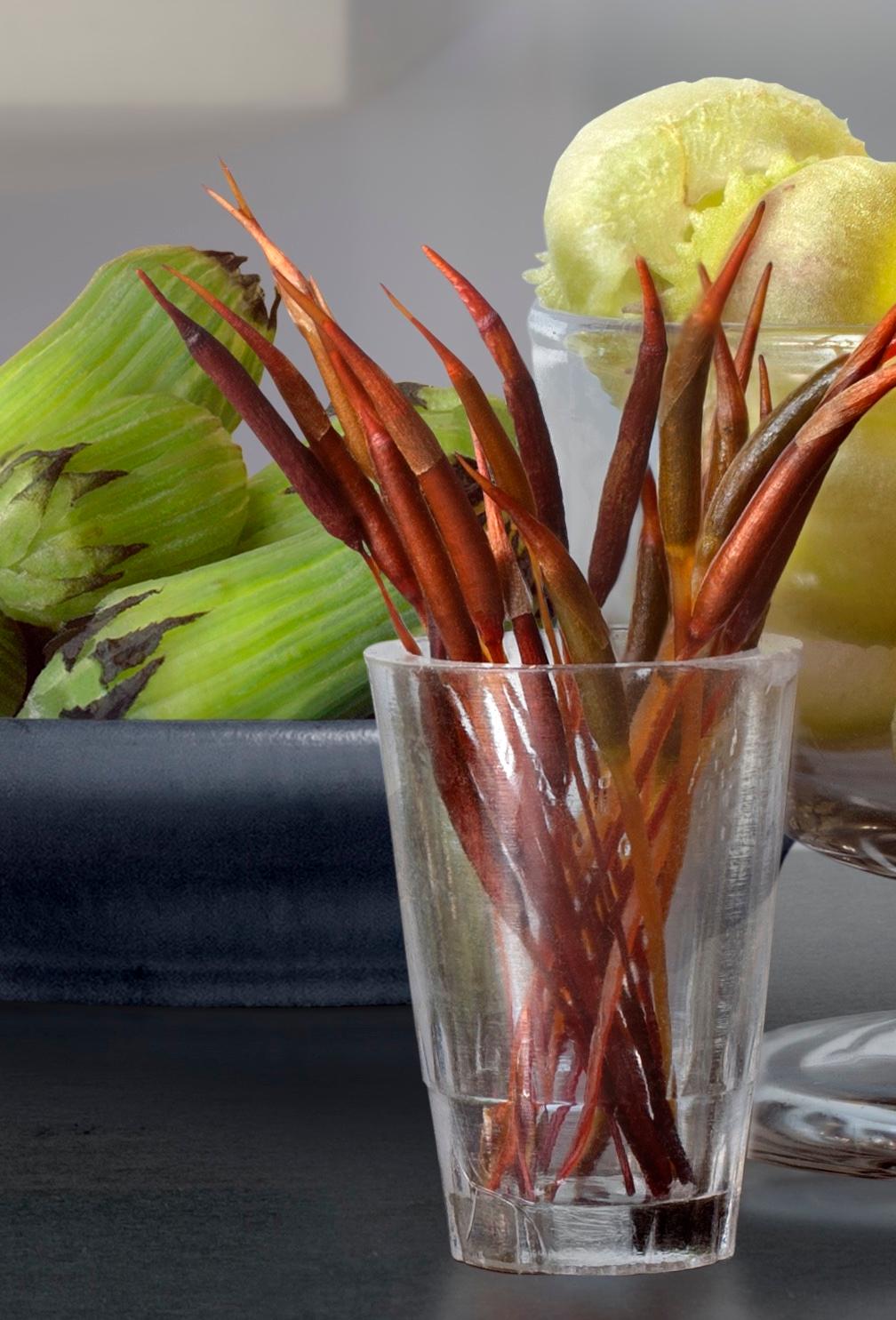 Copa y Vaso de Musgo'' Nature morte contemporaine - Photograph de Leticia Felgueroso