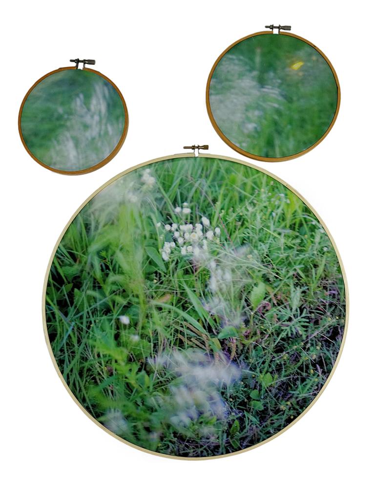 Southern Song - Three-part wood embroidery hoops, green American South landscape - Mixed Media Art by Letitia Huckaby