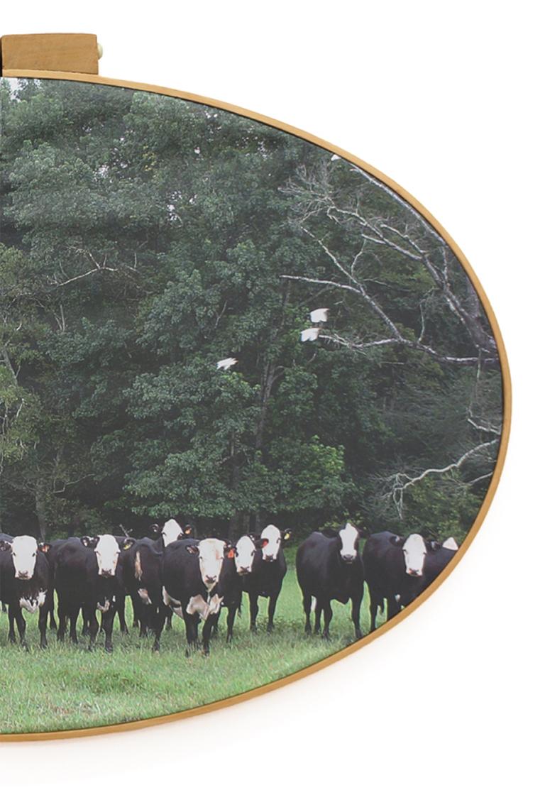 Dixon Correctional Institute - Black & white cows on fabric in embroidery hoop - Contemporary Photograph by Letitia Huckaby