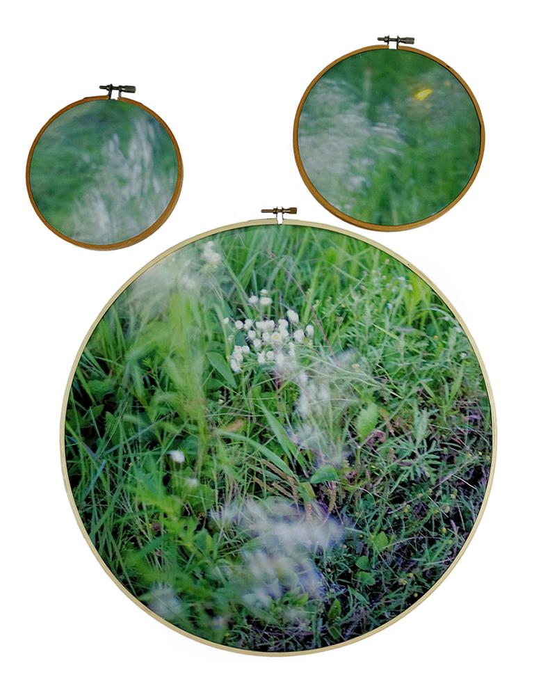 Letitia Huckaby Figurative Photograph - Southern Song - 3-part grass & flower landscape on fabric in embroidery hoops