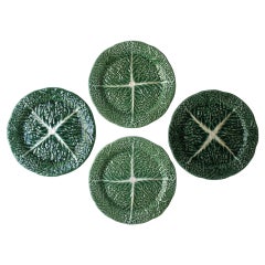 Lettuce Cabbage Leaf Plates Green and White