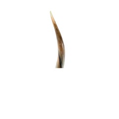 Leuca Sculpture in Horn, Lacquered Wood & Stainless Steel by Arcahorn