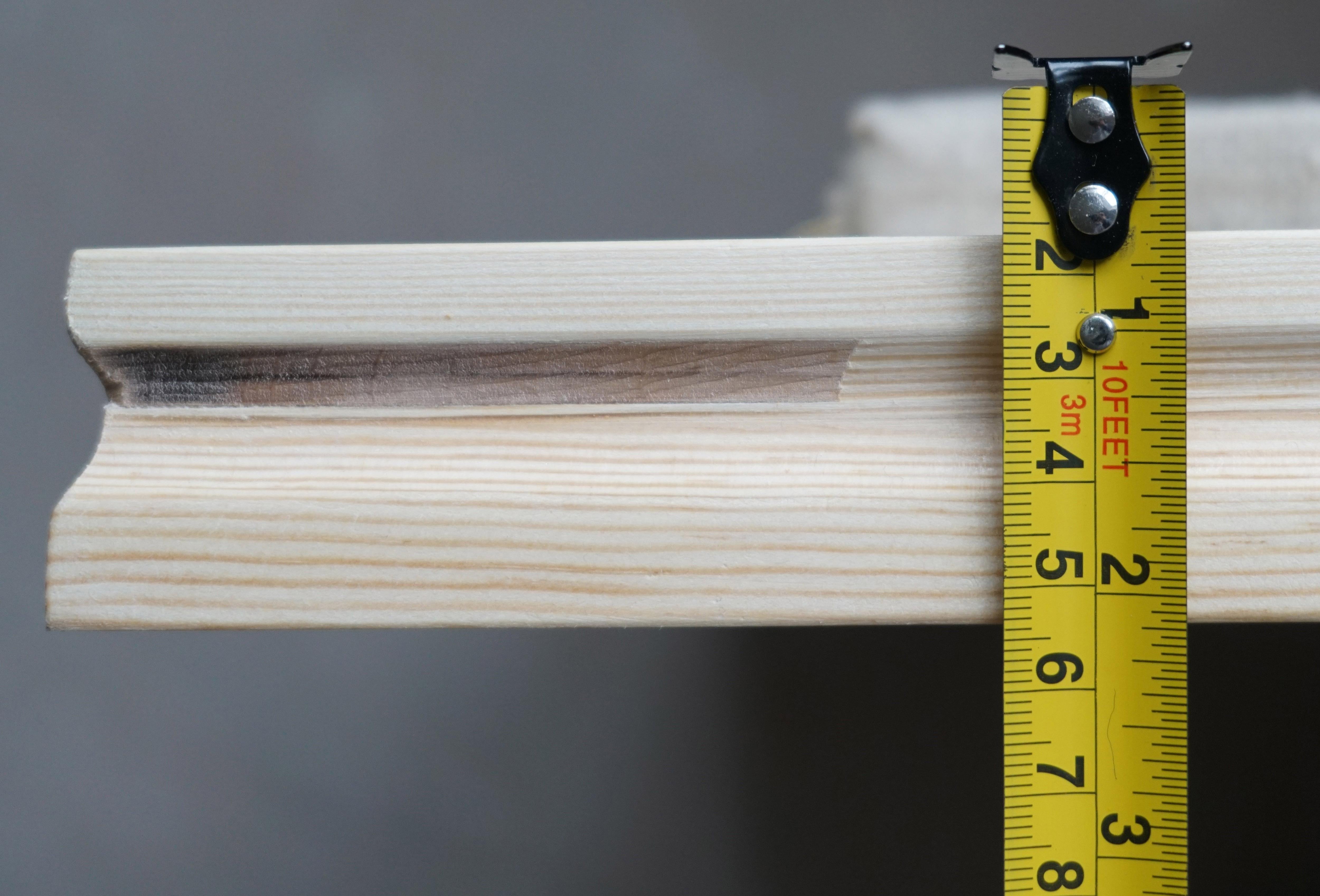 Chrysanthemums For Sale 8