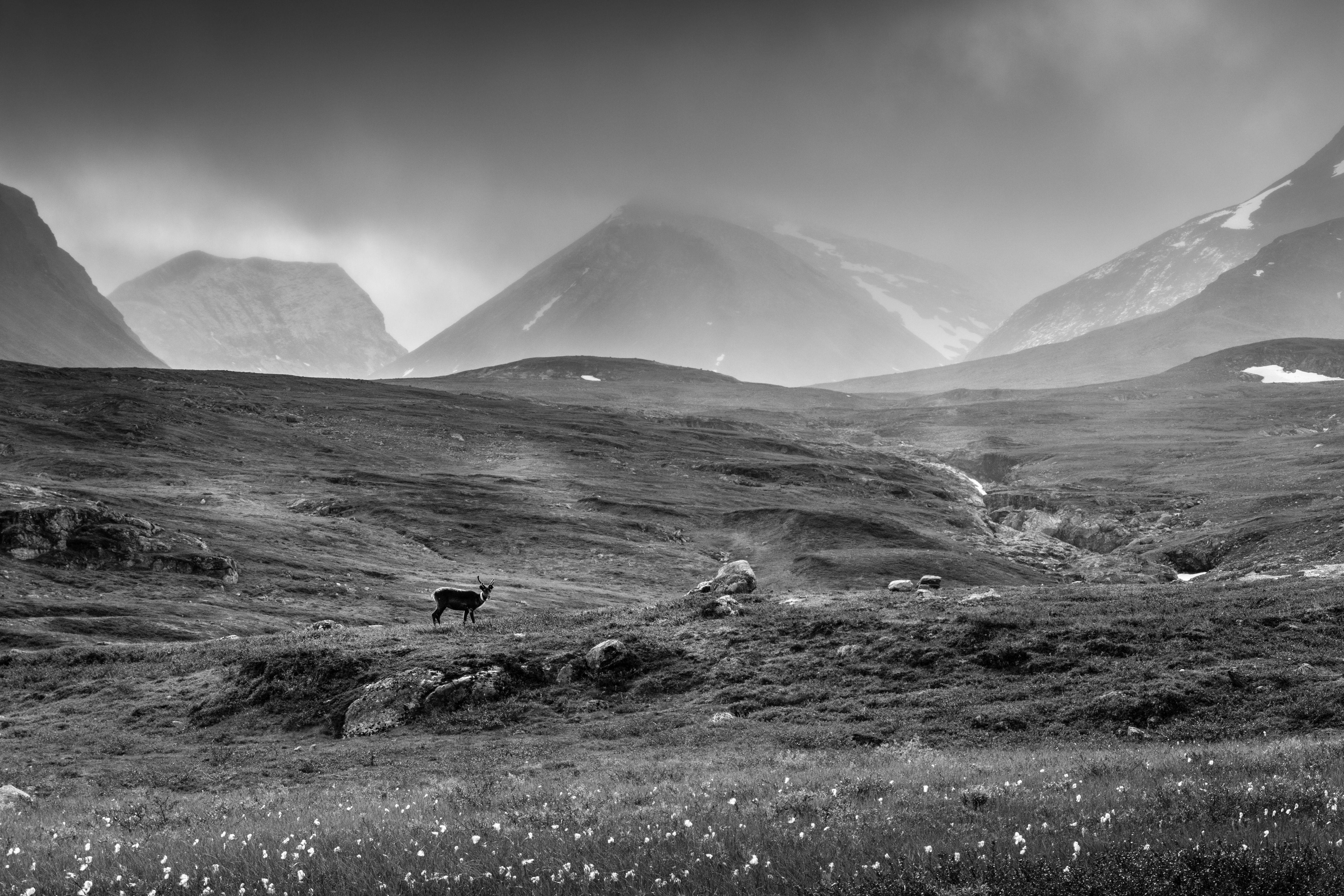 Levi Mendes Black and White Photograph – MY MOUNTAINS LIMITED EDITION 2/20, Fotografie, Archivtinte Jet