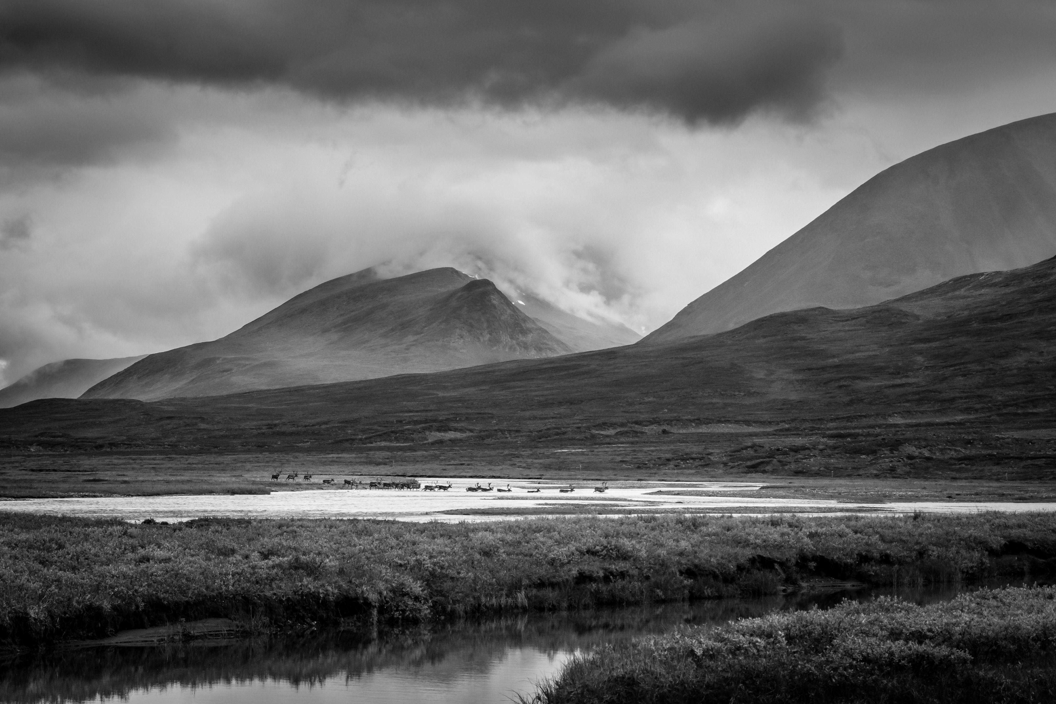 Levi Mendes Black and White Photograph – RIVER CROSSING LIMITED EDITION 1/20, Fotografie, Archivtinte Jet