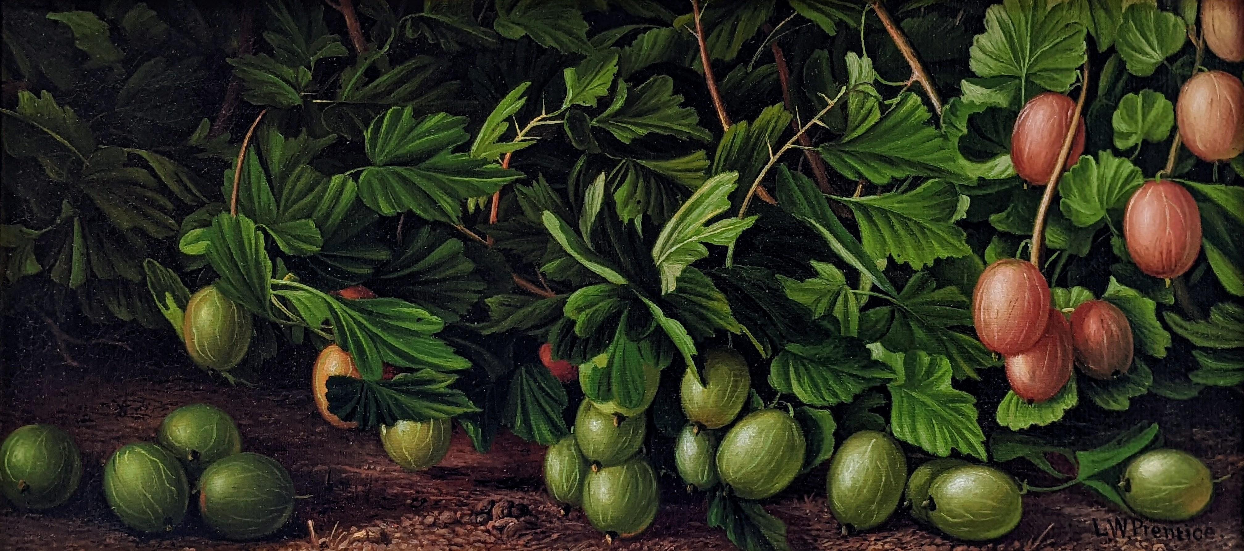 Levi Wells Prentice (1851 - 1935) 
Gooseberries, circa 1899
Oil on canvas
6 1/4 x 12 1/4 inches
Signed lower right

Provenance:
Donna Schlesak, Burlington, Wisconsin 

Self-taught artist Levi Wells Prentice is best known for his realistic still-life