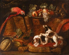 Still life with macaw, squirrel and spaniels - 17th French school