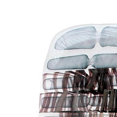 Glass sculpture Assiduosly without  words