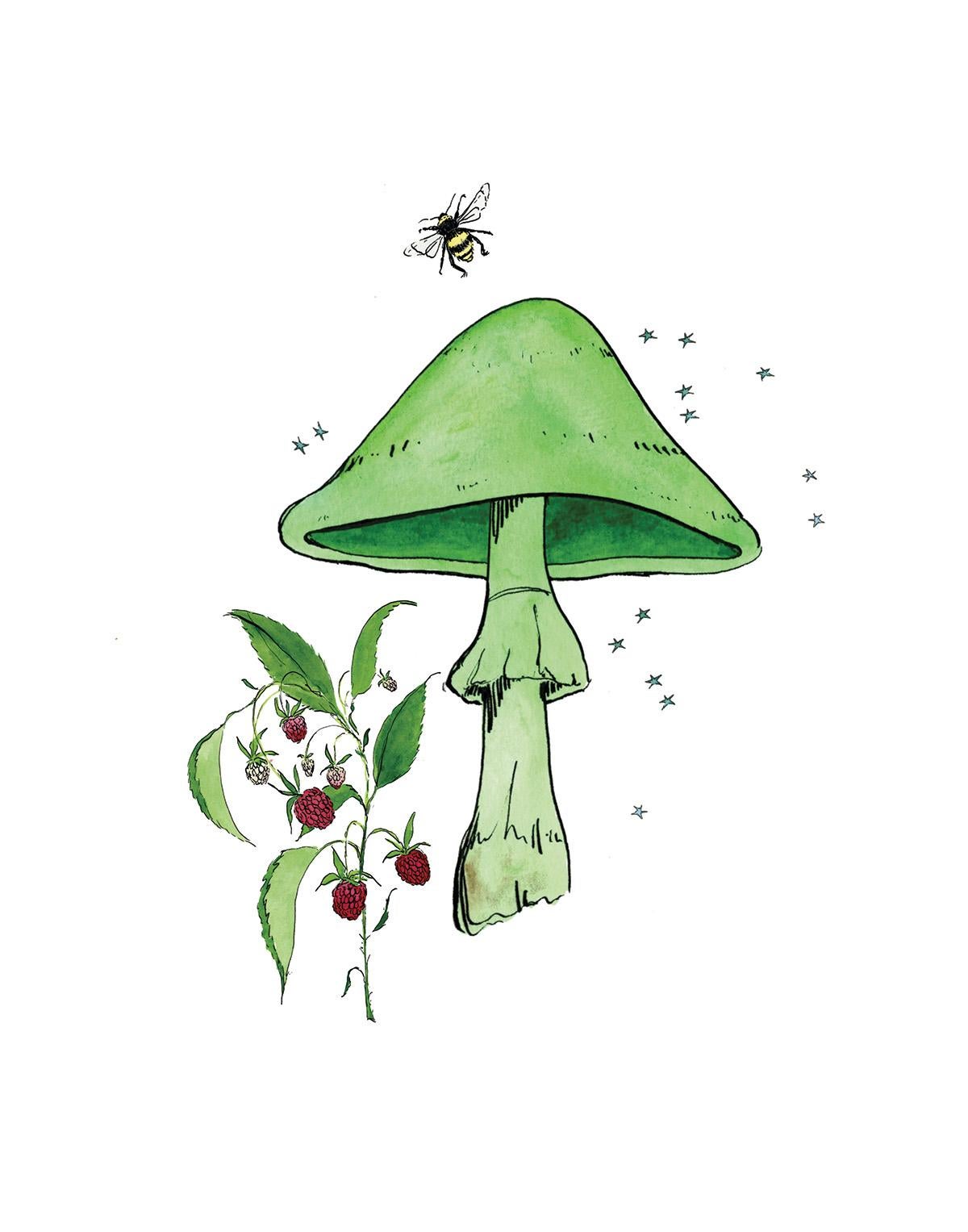 Lia Burke Libaire Still-Life Print - Green Mushroom