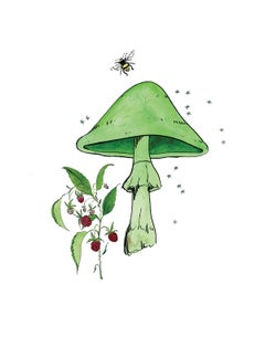 Champiñón verde